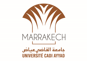 Webinar – University Cadi Ayyad – Morocco